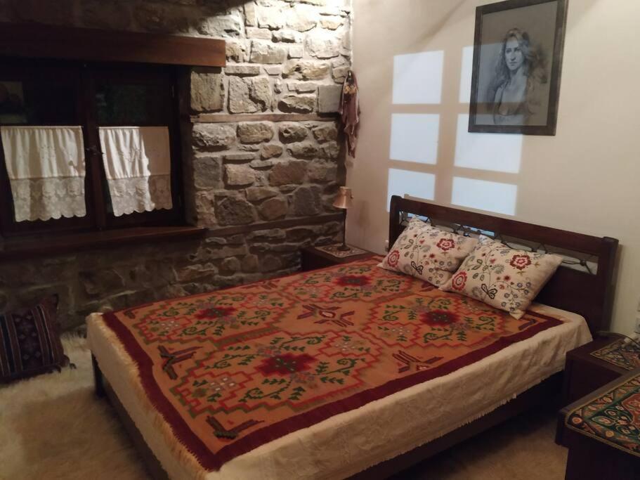 Παραδοσιακή Πέτρινη Κατοικία Στην Βλάχα Ελάτης 외부 사진